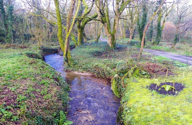 Idyllic cottage in beautiful Lamorna valley - walking distance to sea and pub!