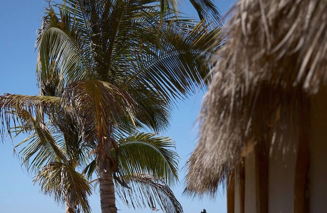 Idyllic Home for curious travelers. Charming beach and great service