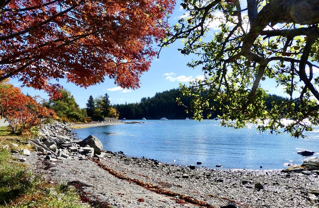 Idyllique Suite à une chambre avec un ravissant maritimes et insulaires Vues près Acadia