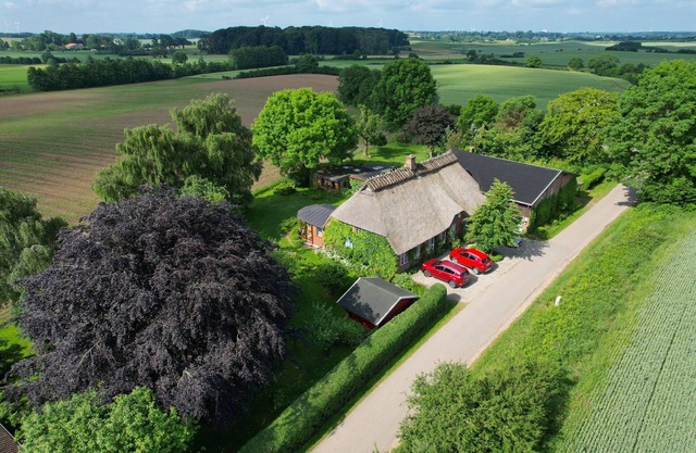 Maison au toit de chaume idyllique de 1860 avec jardin d'hiver et prévoyance