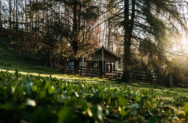 Idyllic wooden cabin 45 minutes away from Edinburgh & Glasgow