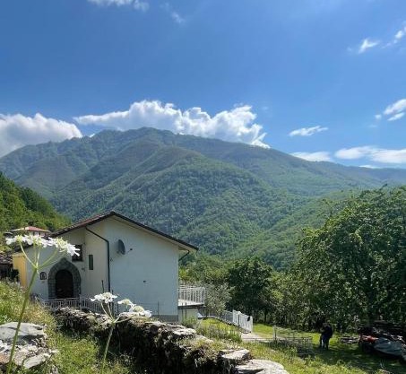 Il Ciliegio