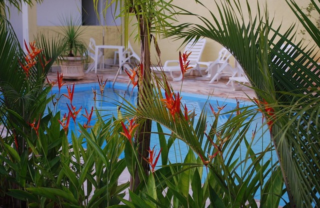 Ilha Palace Hotel