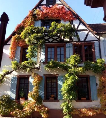 Im Alten Kaufhaus