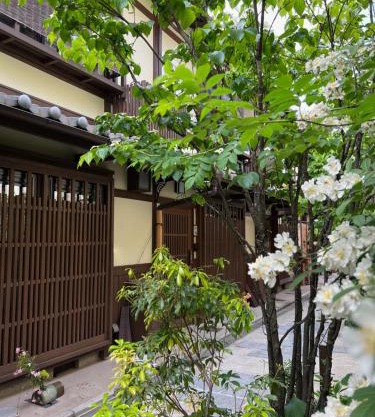 Imakumano Terrace - Dohachi An 道八庵