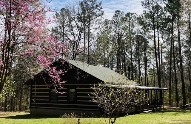 Fully renovated cabin bordering national forest, close to Augusta, GA - -Masters