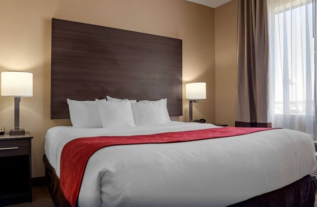 Impressively Cozy King Suite w/ Free Breakfast!