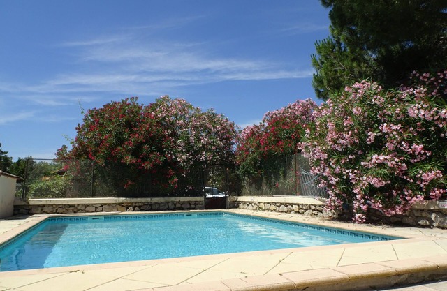 Au paradis des oiseaux, une oasis de silence, le meilleur repos pour vous !