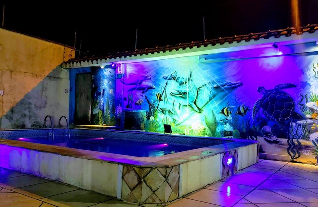 Au centre Piscine chauffée Wi-fi wathapp 013992047919 (colis non carton)