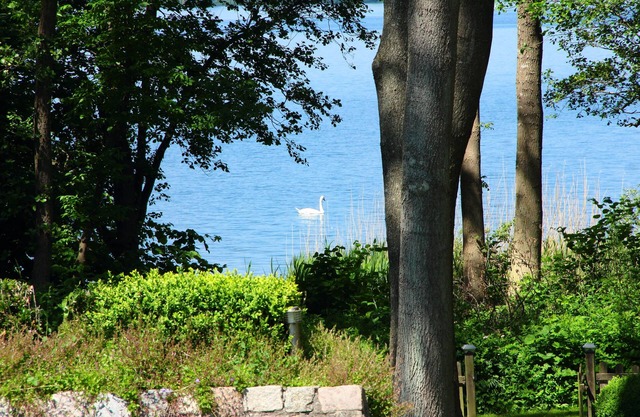 Au premier emplacement du Wittensee avec beaucoup d'espace, WiFi, vue sur le lac