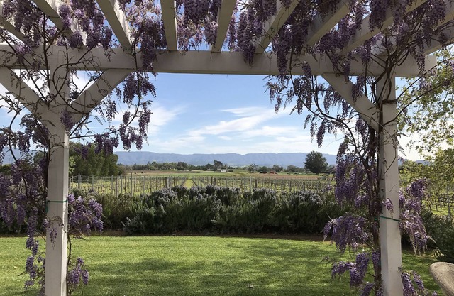 Au coeur de Los Olivos - Pays du vin de luxe - dans notre vignoble!