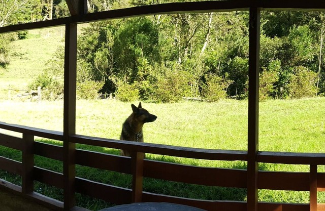 AU COEUR DE MONTEVERDE. 300 ACRE PROPRIÉTÉ