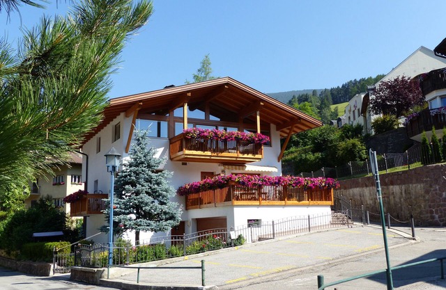 In the hearth of the Dolomites, 100 m from the first ski slopes, clime house