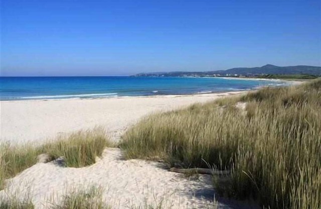 Appartement indépendant avec 3 chambres et un jardin privé à proximité de la mer.