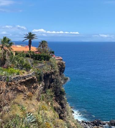 Inn & Art Madeira