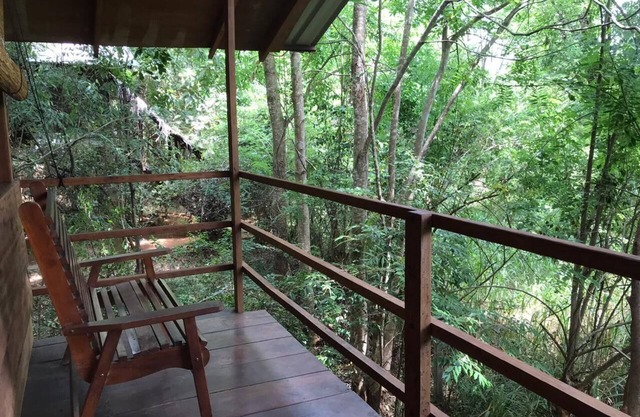 Inn On The Tree Eco Resort Sigiriya