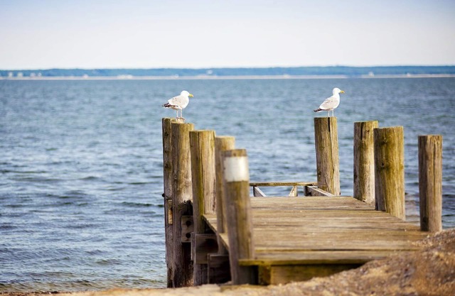 InnSeason Resorts Surfside - Amazing Waterfront Views & Private Beach Access!
