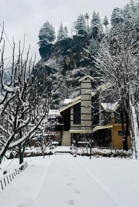 Into The Wild Manali
