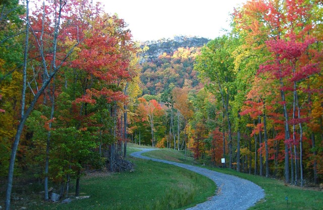 Invitant Mountain Retreat