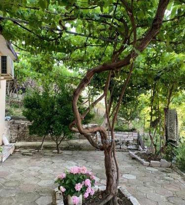 Isaraj Guest House