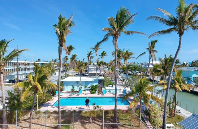 Islamorada s'enfuit.