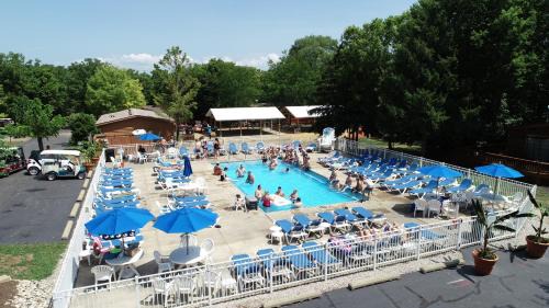 Island Club #113