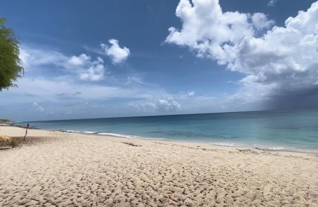 Island Oasis, Special Nightly Rates. Vehicle rental available.