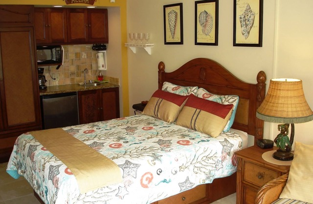 99-149 $ - Islander On The Beach - Oceanfront Resort / Oceanview Unit 244