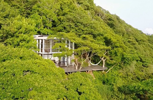 Izu Cliff House / Kamo-gun Shizuoka