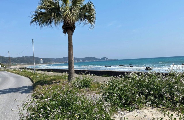 J RoomK Room for rent 10 seconds to the sea The / Minamiboso Chiba