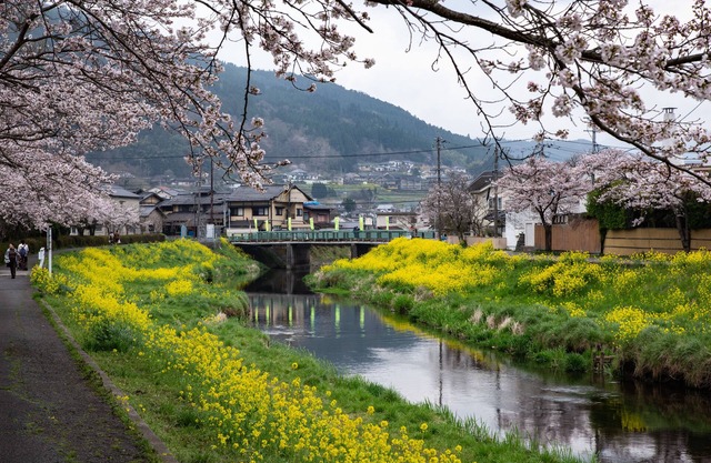 Japanese Onsen Ryokan Yufuin Tabinokura