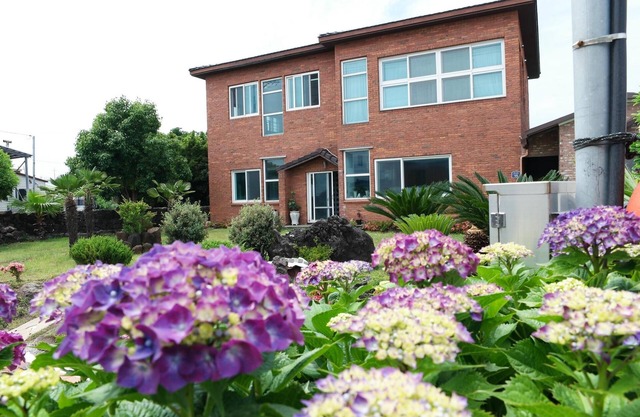 Jeju Ophirhouse Pension