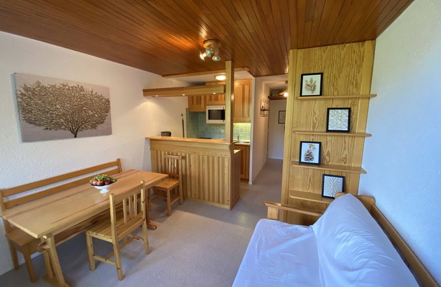 Joli studio au calme, vue apaisante, ski aux pieds
