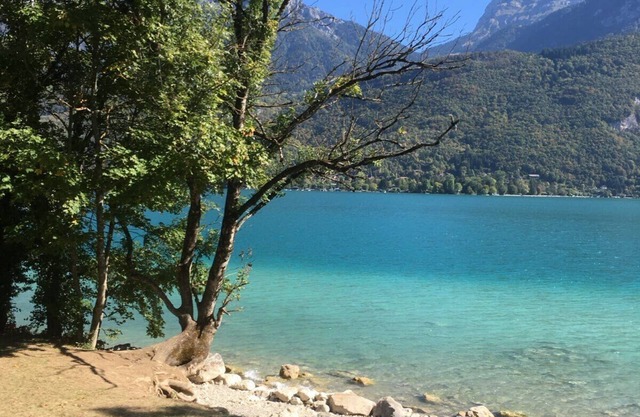 Joli t 3 à la montagne