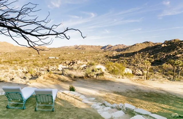 Joshua Tree Desert Homestead Living