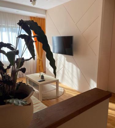 Joy Apartament