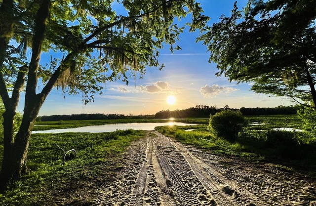 Juanita’s Cabin , a Peaceful cabin in Central Florida. IG:@JUANITASCABIN