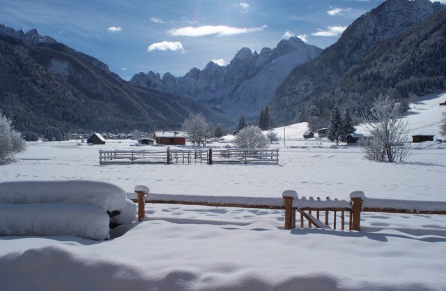 Julian Alps Chalet Resort - "Atmosphères Anciennes"