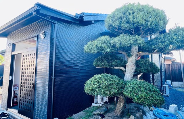 Jun Resort