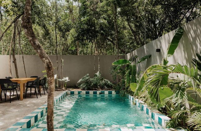 Jungle Views in style