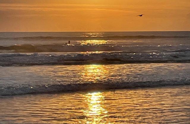 Just minutes from the ocean Lg 4 bedroom w/private fenced in pool!