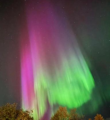 Kaldfjord Aurora Aparments New
