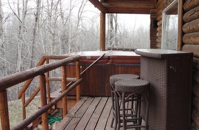 La cabine de Rock Creek de Kelly. Les enfants et les chiens sont les bienvenus!