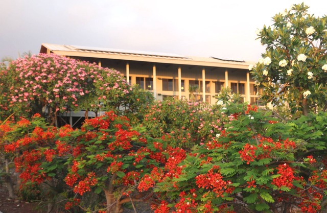 Hawaiian Ocean View de Kepharts