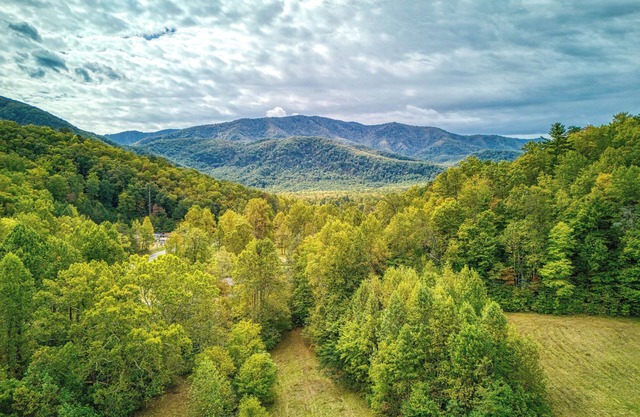 Kerri's Cottage, Pickleball Court, Creek, WIFI, Mountain Views, Starting at $79"