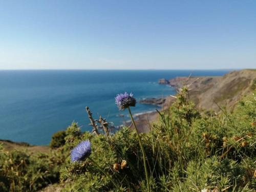 Kiberick Cottage at Crackington Haven, near Bude and Boscastle, Cornwall
