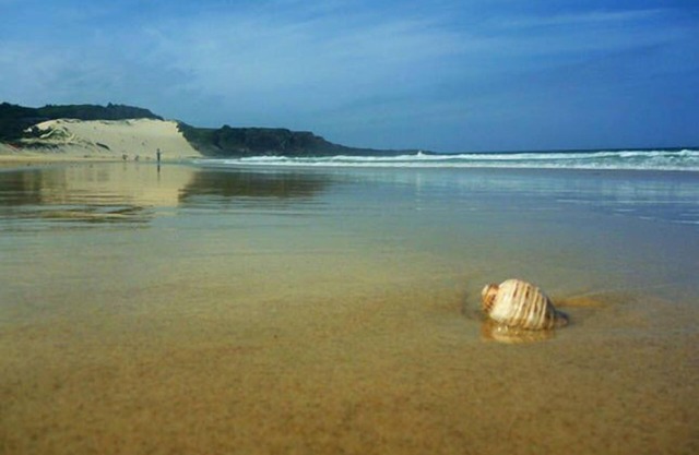 Kick Back Beach Shack @ FORSTER