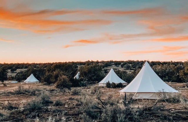 King Tent w/ Shared Bathroom - Find us among the juniper trees and the open sky.