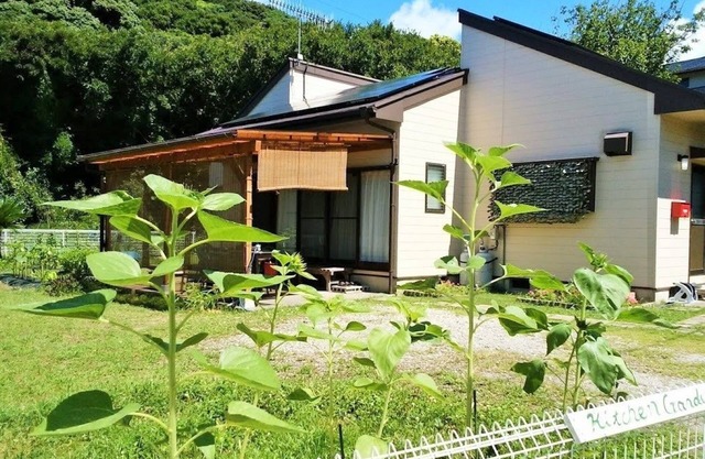 Kitchen Garden