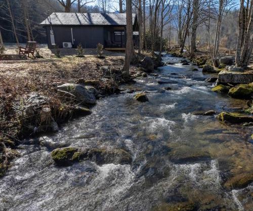 Kitt's Cottage, Pickleball Court, Creek, WIFI, Mountain Views, Starting at 79"